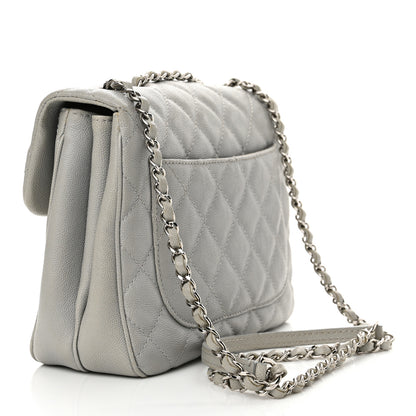Chanel Caviar Quilted Medium Urban Companion Flap Grey 3 of 16