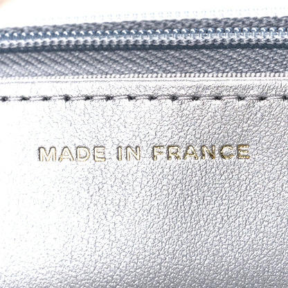 Chanel Iridescent Goatskin Quilted Wallet On Chain WOC Silver 7 of 12