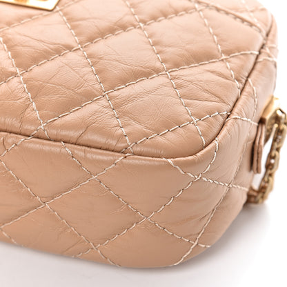 Chanel Aged Calfskin Quilted Mini Reissue Camera Case Beige 10 of 11