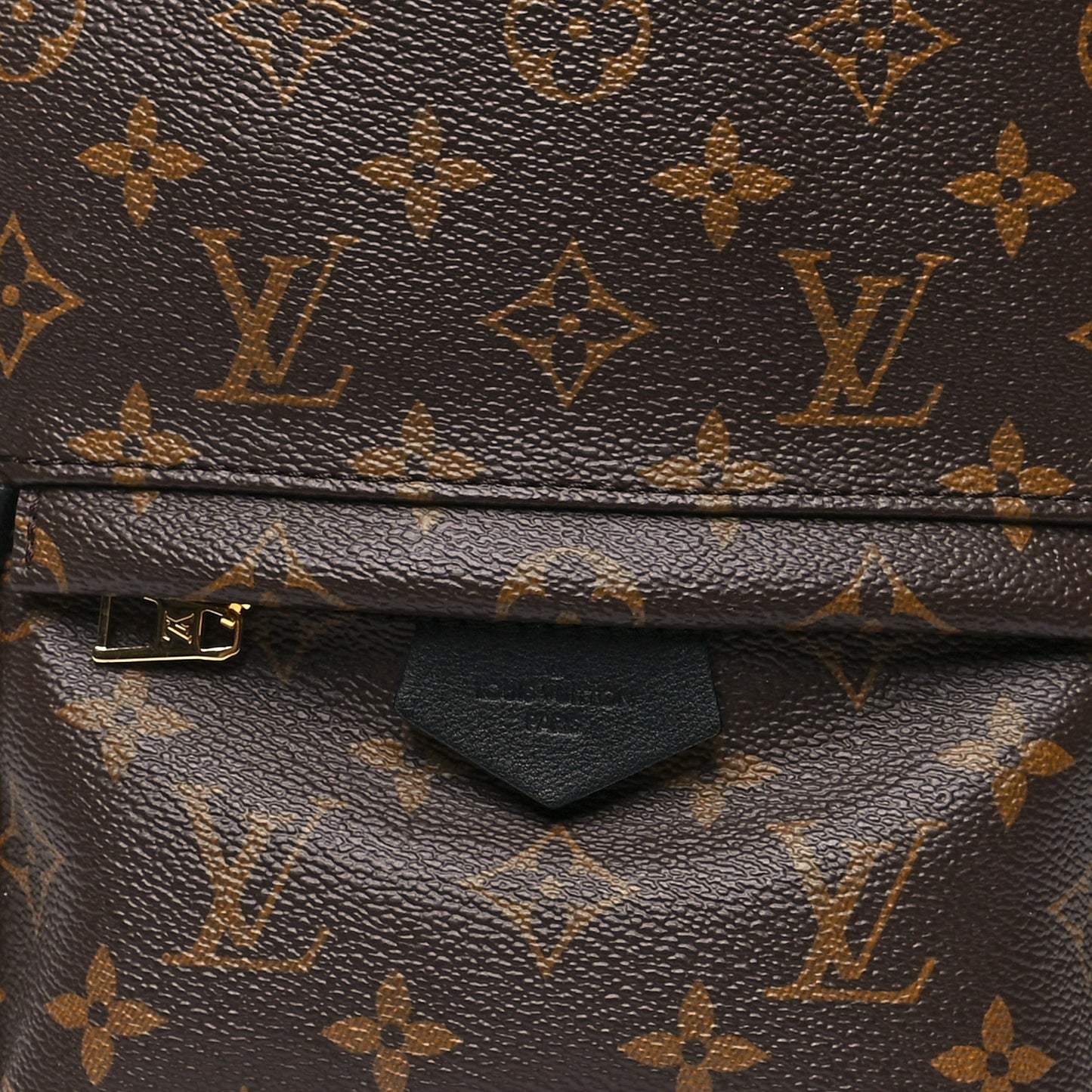 Monogram Palm Springs Backpack PM