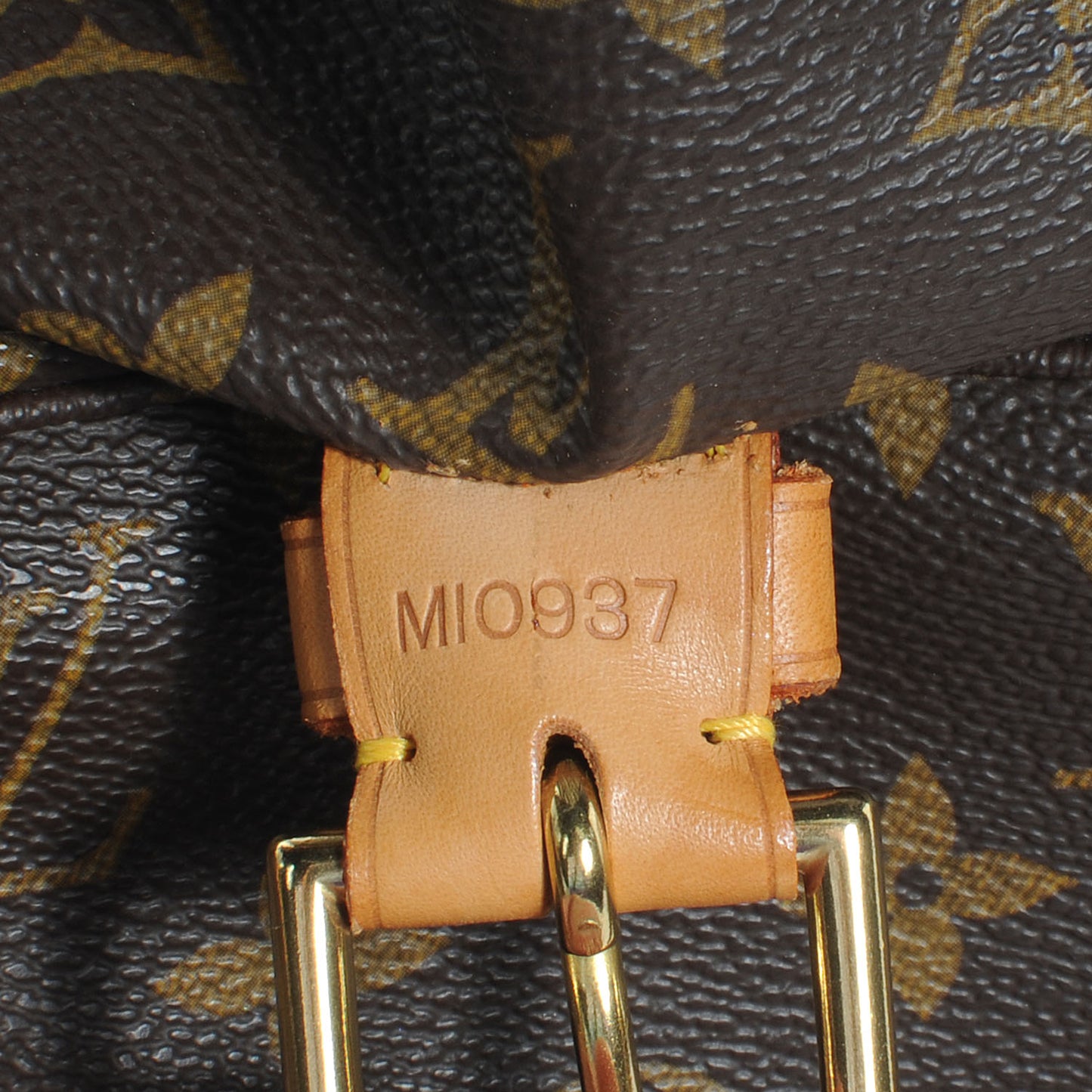 Monogram Montsouris GM Backpack