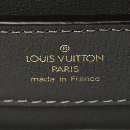 Louis Vuitton Metallic Python Capucines Mini Gold Silver 6 of 10