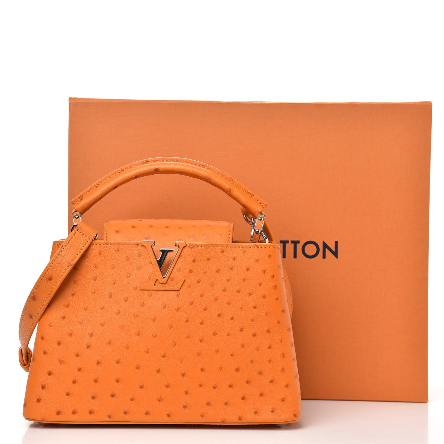 Ostrich Capucines BB Marigold