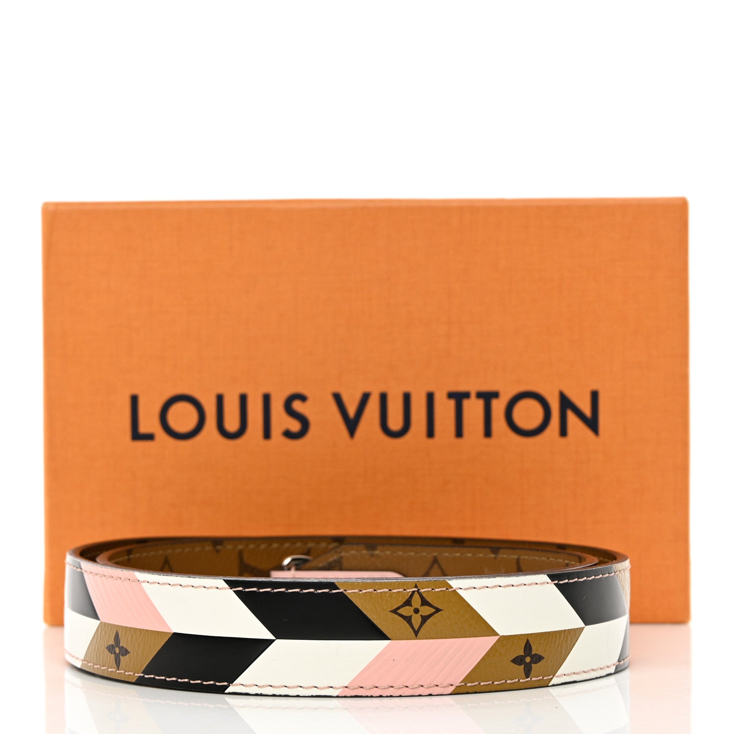Louis Vuitton Epi Reverse Monogram Bandouliere Shoulder Strap XL Multicolor 9 of 10