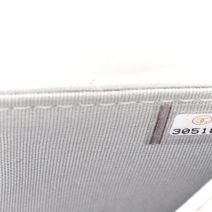 Chanel Metallic Goatskin Quilted Chanel 19 Wallet On Chain WOC Silver 8 of 14