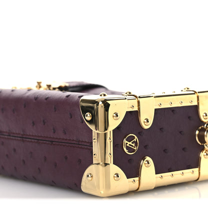 Louis Vuitton Ostrich Side Trunk PM Bordeaux 9 of 9