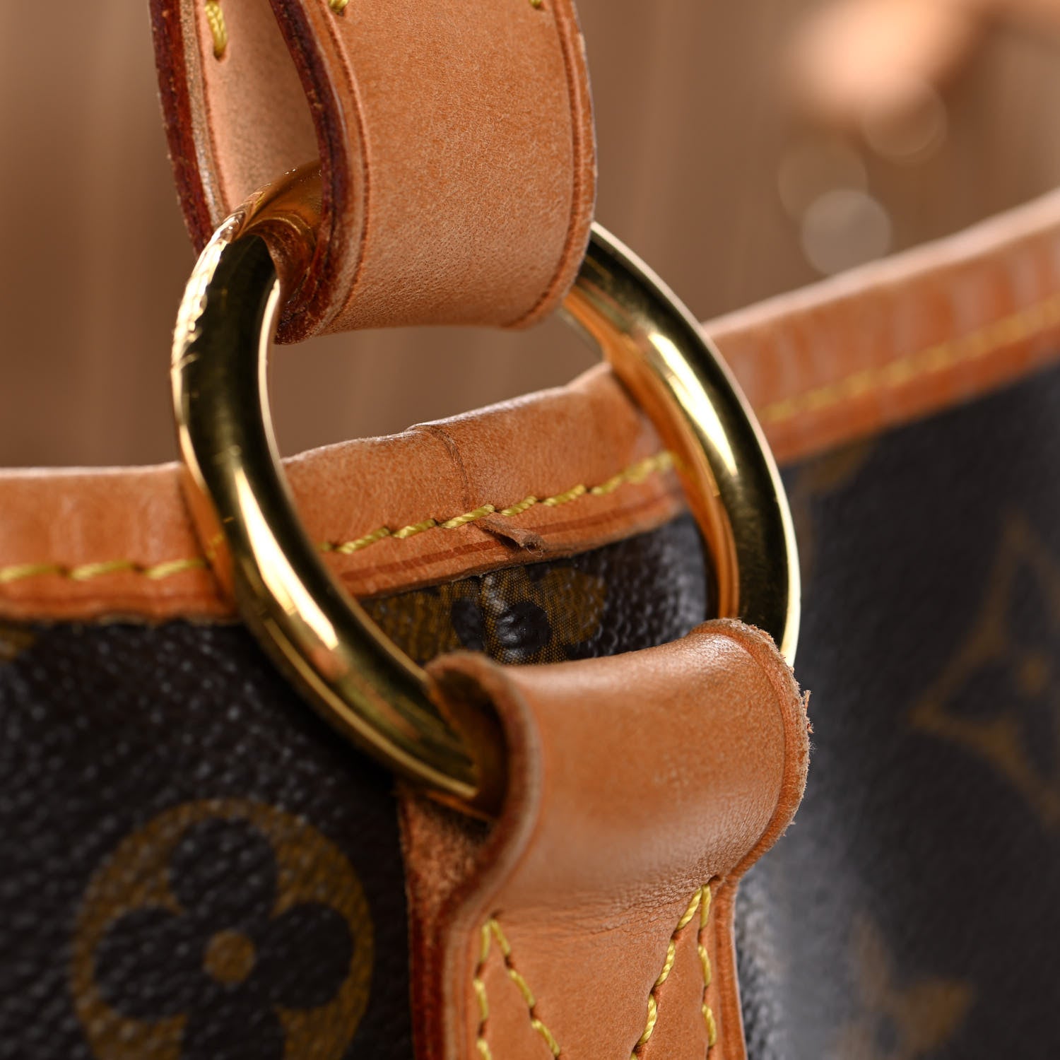 Louis Vuitton Monogram Delightful PM 17 of 20