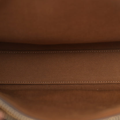 Celine Triomphe Canvas Calfskin Small Vertical Cabas Tan 5 of 11