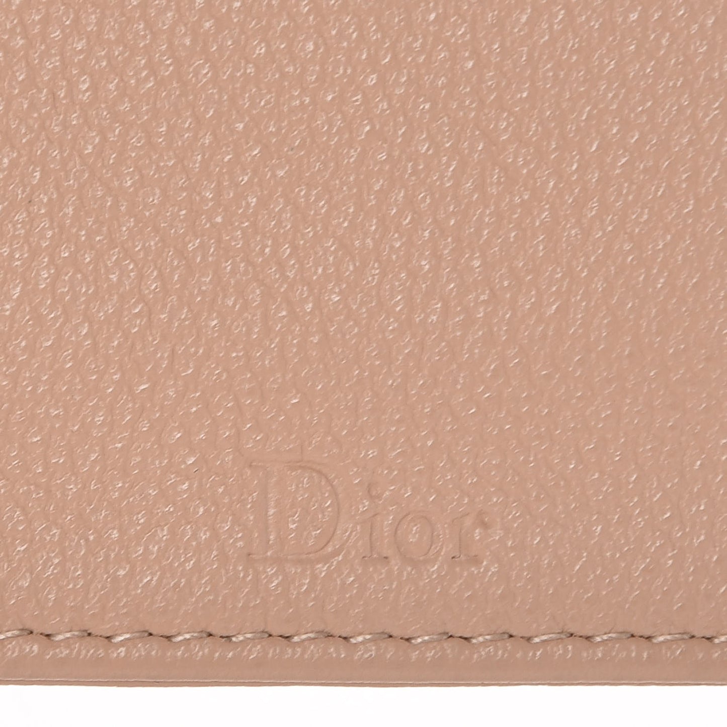 Grained Calfskin Diorama Wallet on Chain Pouch Nude