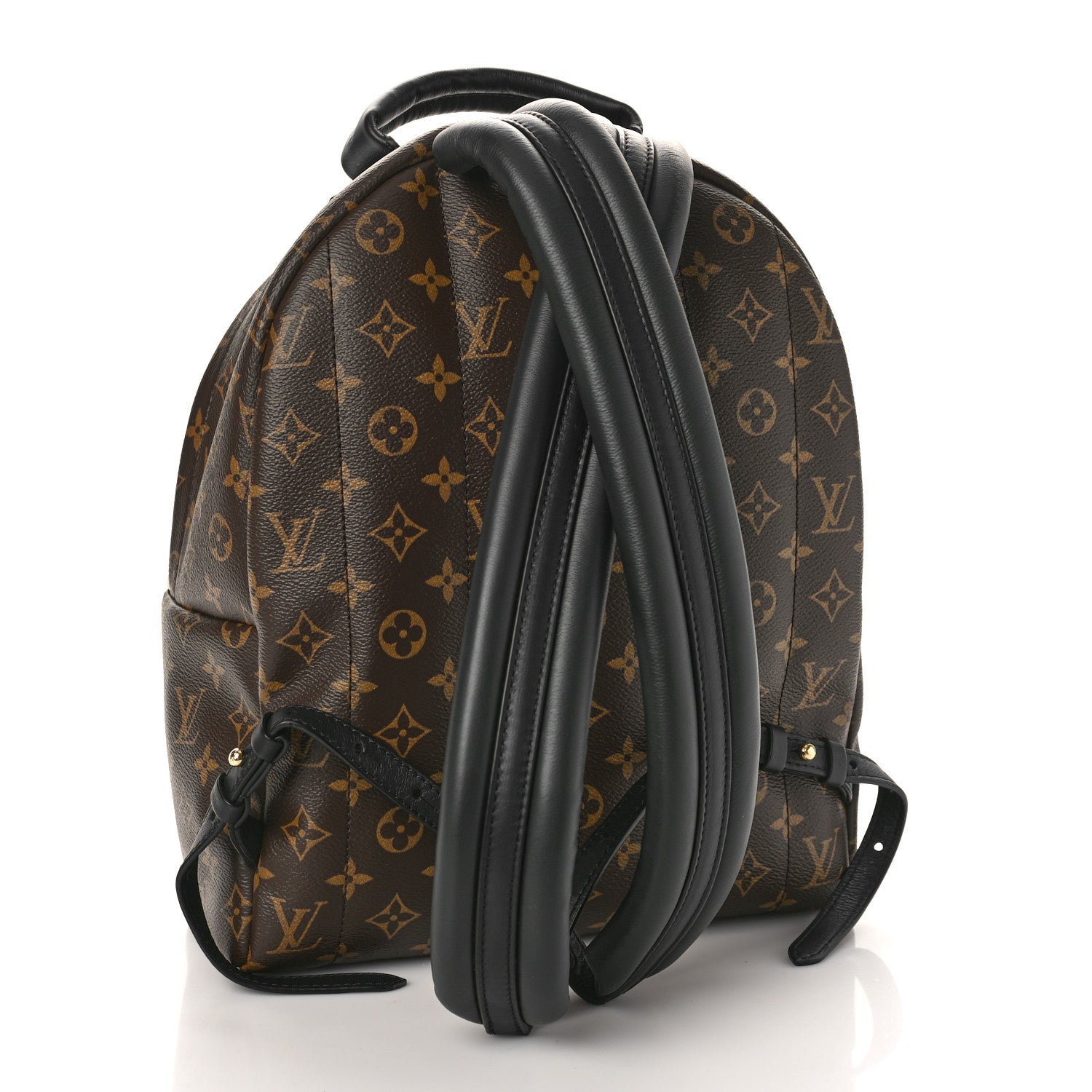 Louis Vuitton Monogram Palm Springs Backpack MM 3 of 8