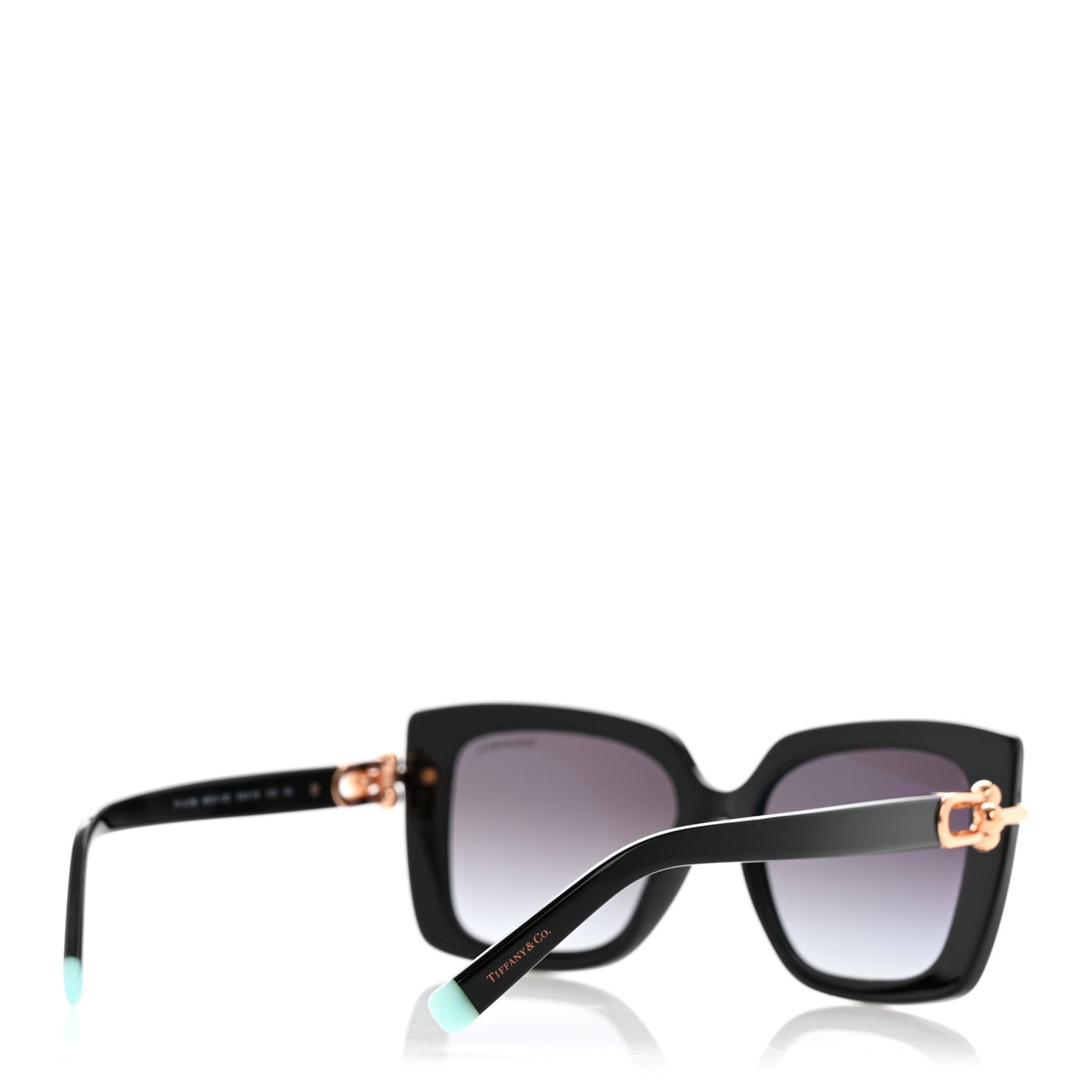 Acetate HardWear Sunglasses TF4199 Black