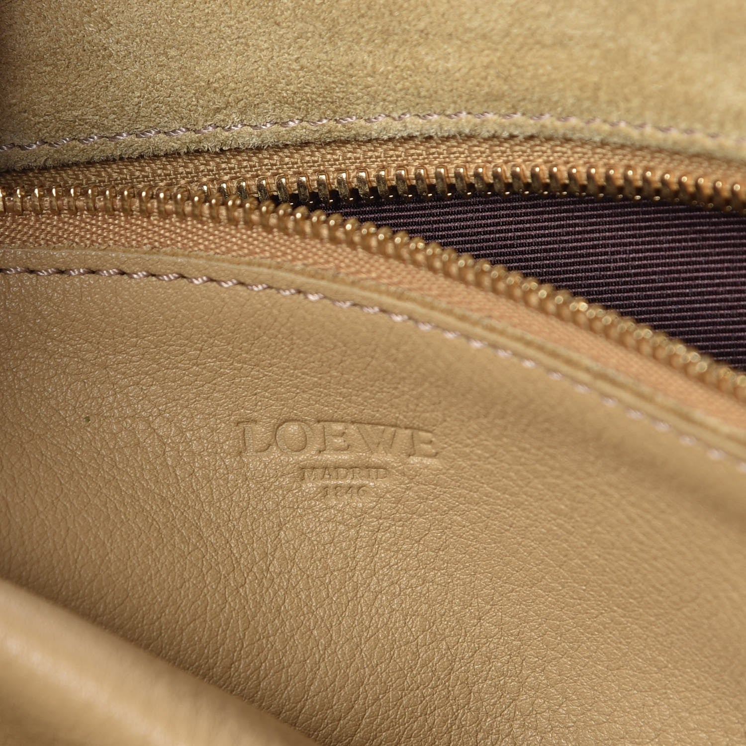 Loewe Suede Oro Amazona Gold 6 of 8