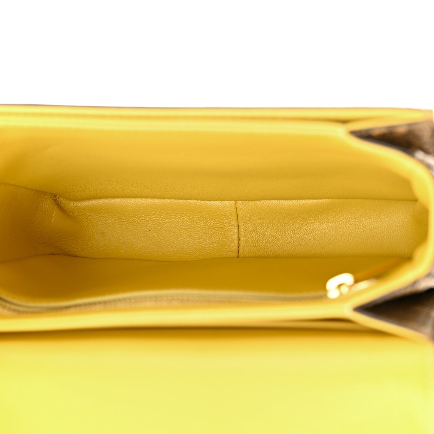 Lizard Teen Triomphe Ochre