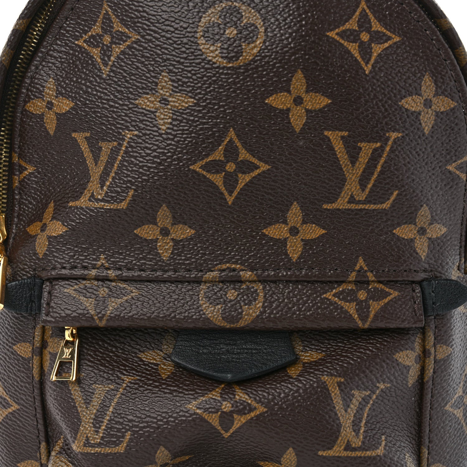 Louis Vuitton Monogram Palm Springs Backpack Mini 7 of 12