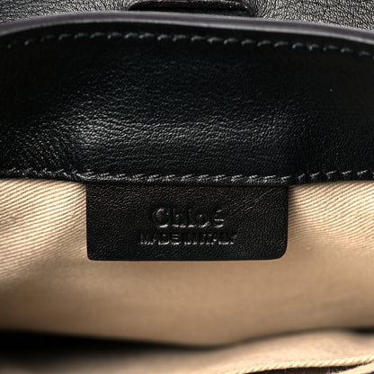 Chloe Suede Calfskin Mini Faye Backpack Black 6 of 11