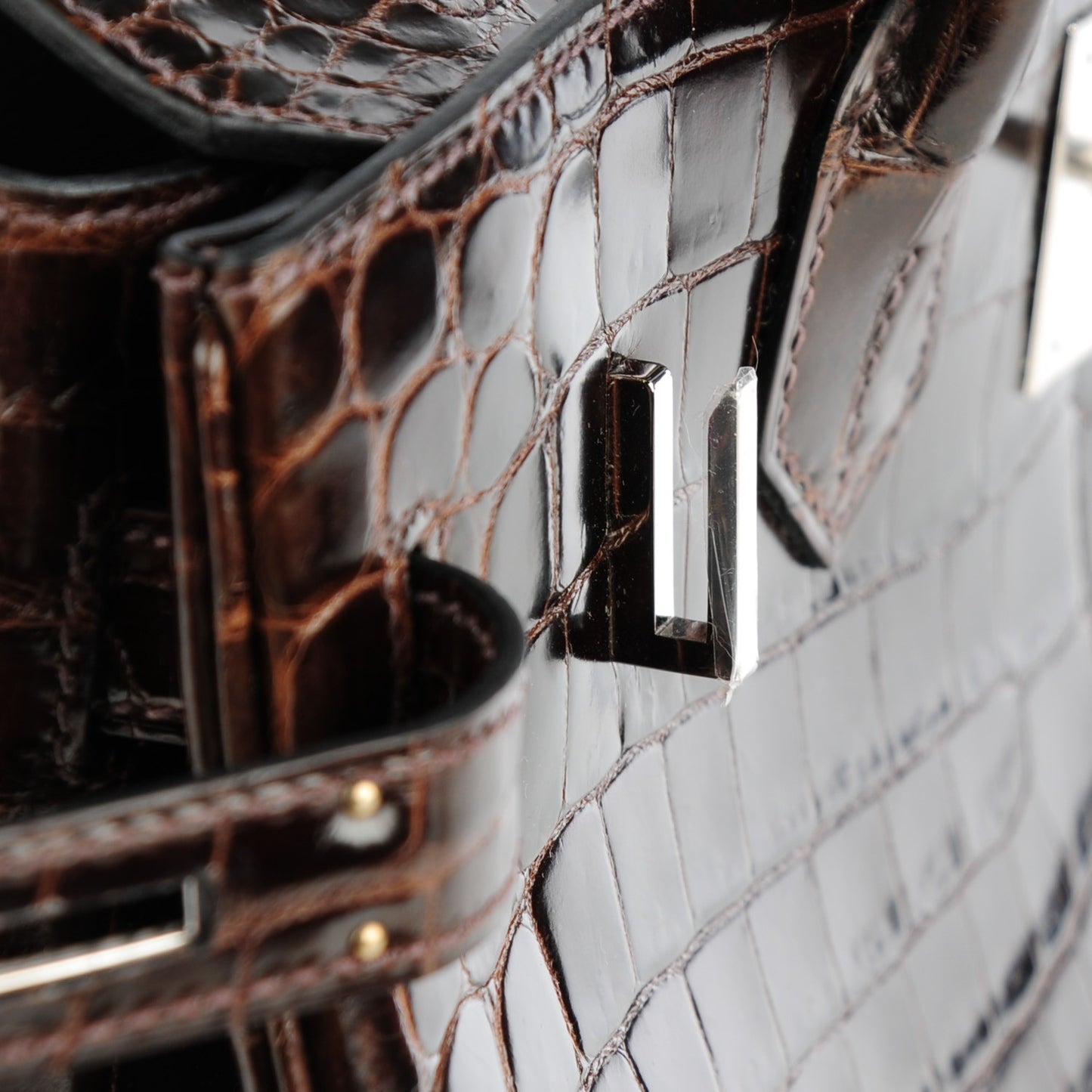 Shiny Niloticus Crocodile Birkin 30 Havane