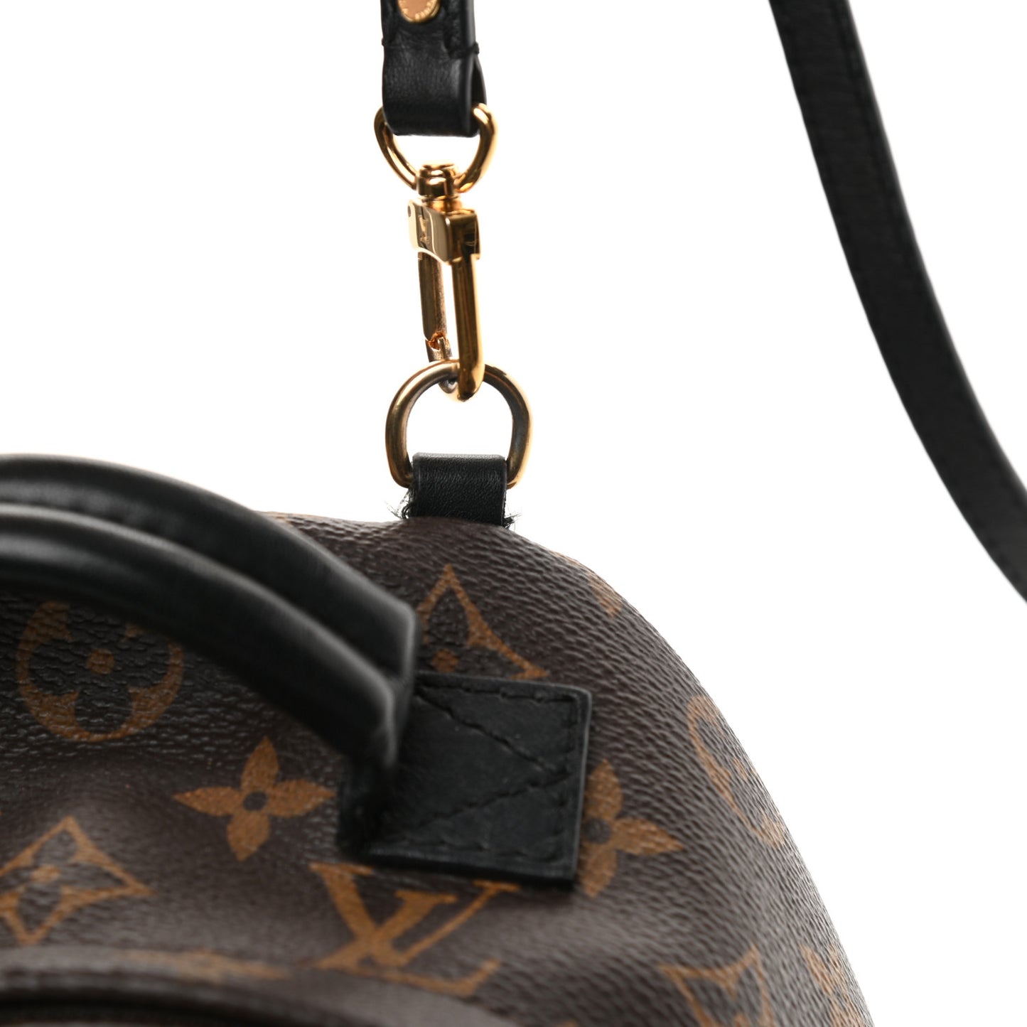 Monogram Palm Springs Backpack Mini