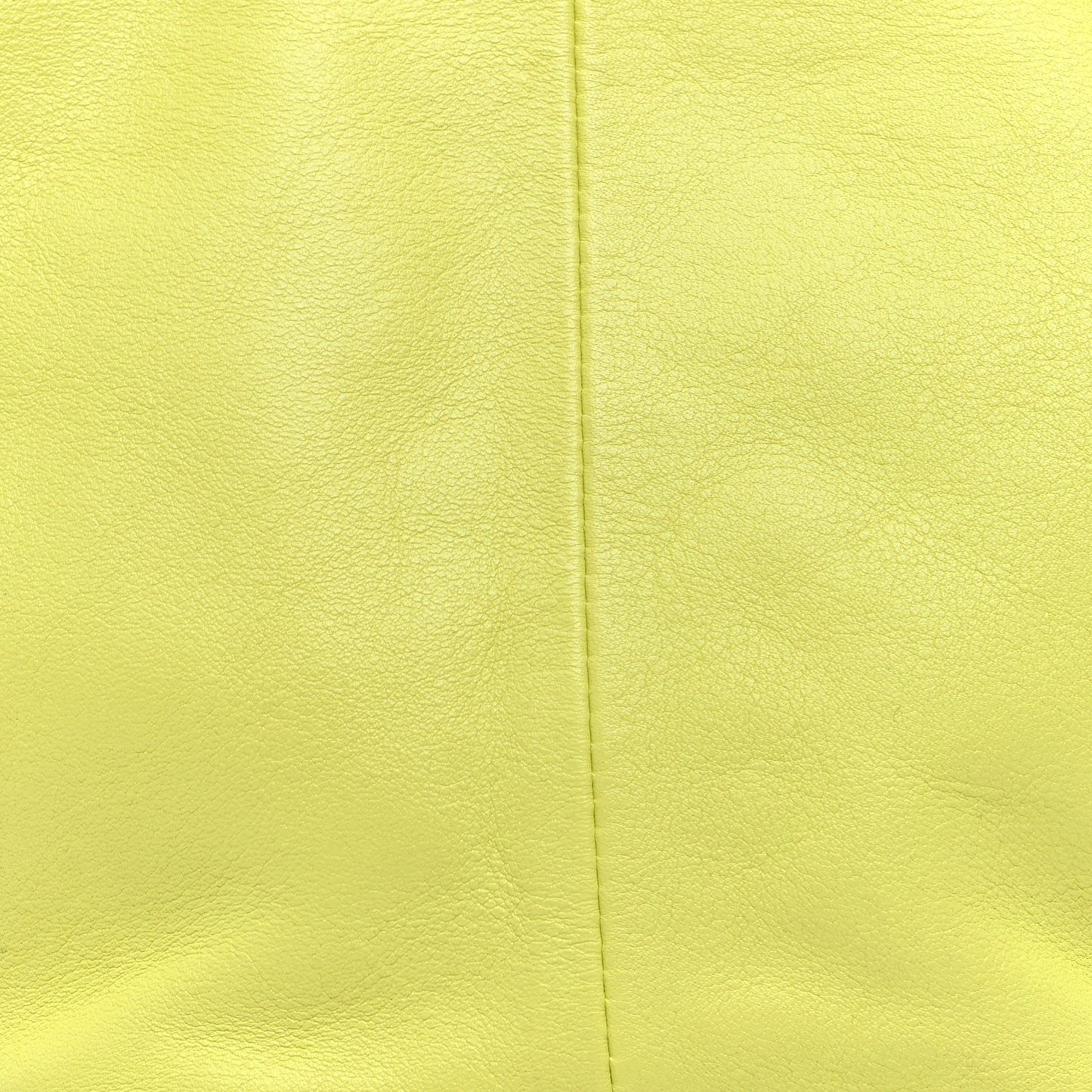 Calfskin Mini Double Knot Bag Kiwi