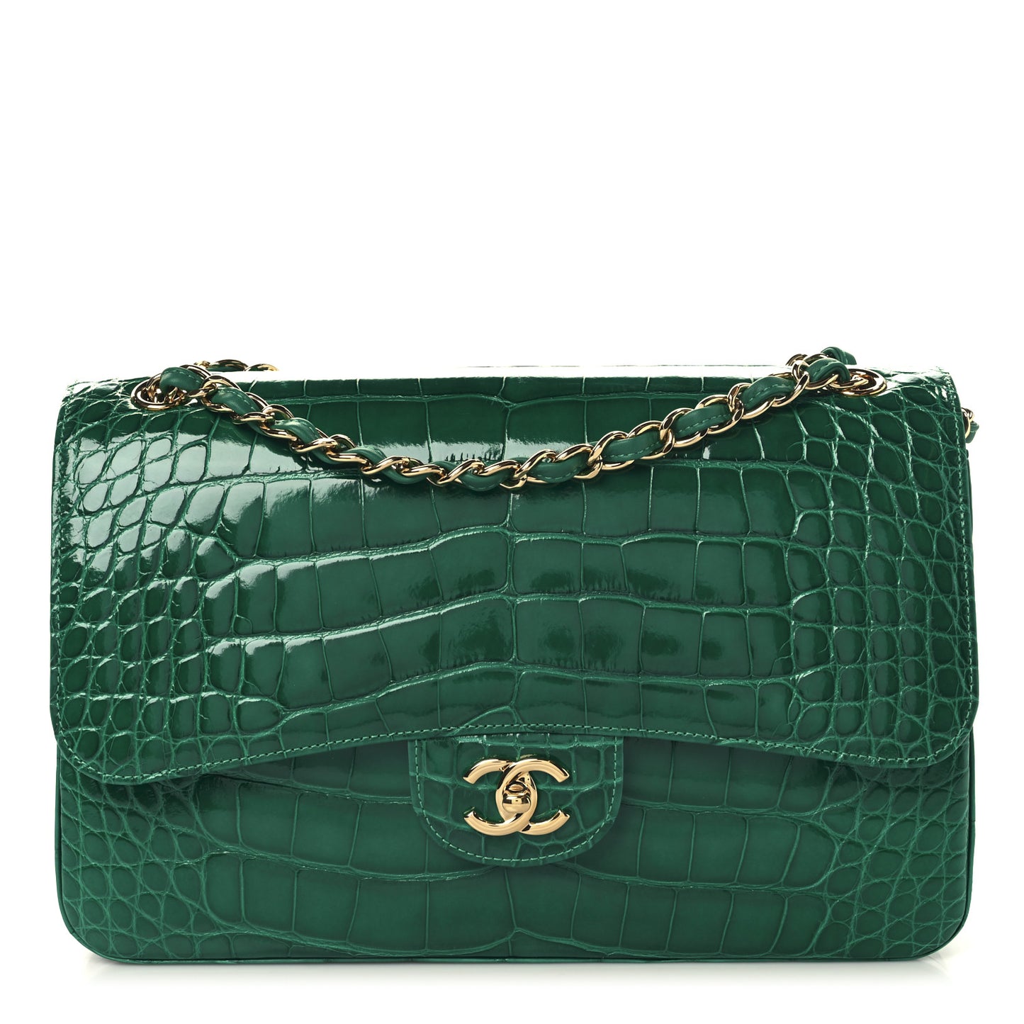 Alligator Jumbo Double Flap Green