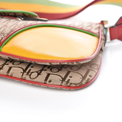 Christian Dior Monogram Rasta Double Saddle Beige 12 of 12