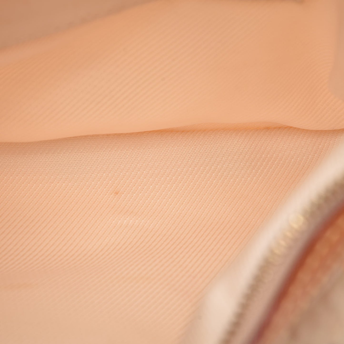 Canvas Monogram Cruise Bulles PM Natural