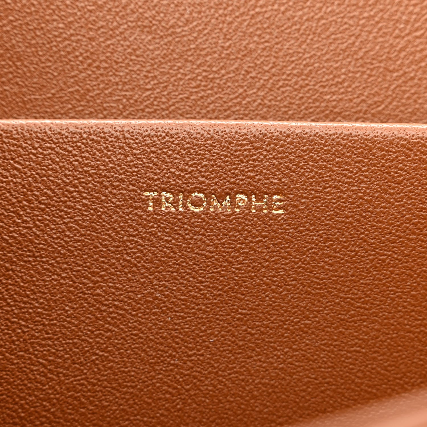 Celine Textile Calfskin Classique Triomphe Bag Natural Tan 9 of 12