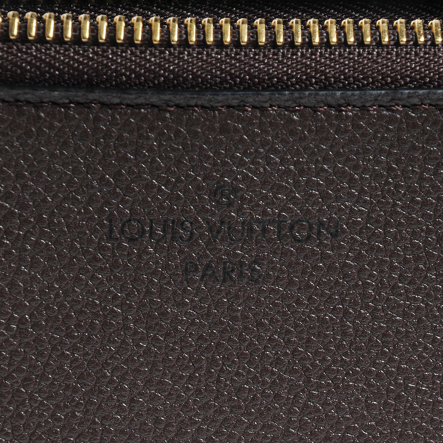 Monogram Veau Cachemire Chocolate