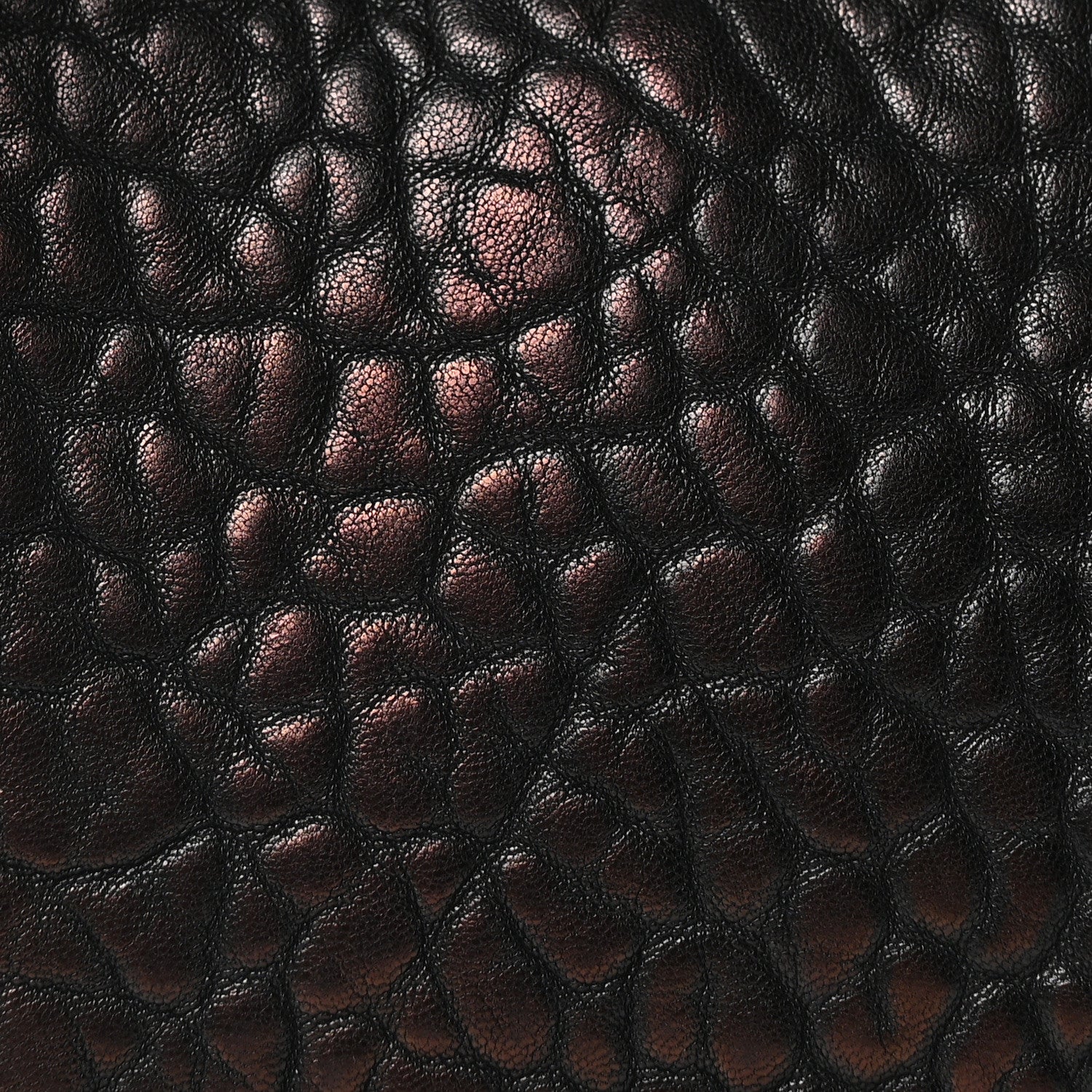 Alexander Wang Pebbled Lambskin Rockie Bronze Rhodium Hardware 12 of 17