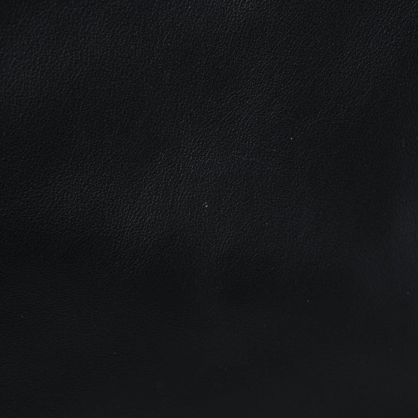 Vitello Grace King Karligraphy Chain Bucket Bag Black Bisquit