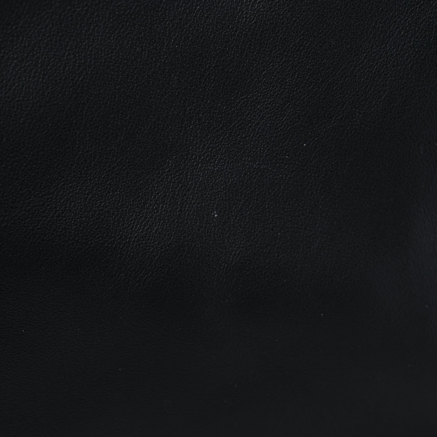 Fendi Vitello Grace King Karligraphy Chain Bucket Bag Black Bisquit 15 of 16