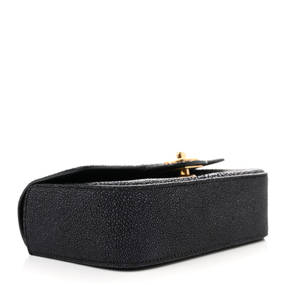 Chanel Galuchat Stingray Mini Flap Black 4 of 15