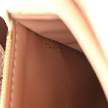 Louis Vuitton Taurillon Gradient Capucines PM Cloudy Creme 7 of 9