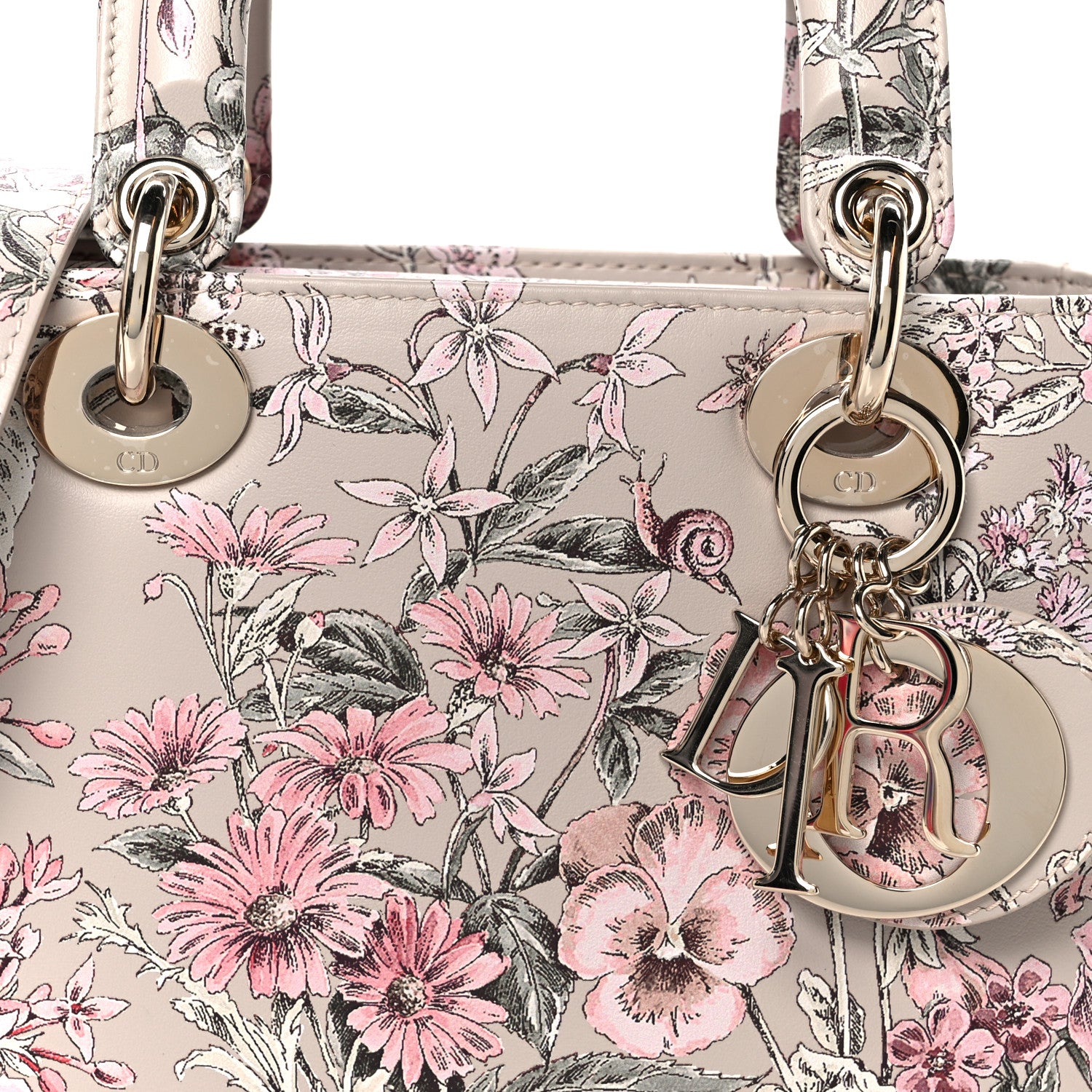 Christian Dior Calfskin Flower Printed Small My ABCDior Lady Dior