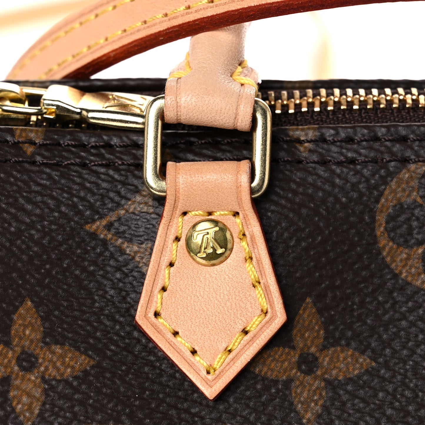 Monogram Nano Speedy