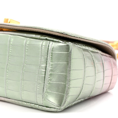 Christian Dior Metallic Alligator Small Caro Bag Multicolor 10 of 11