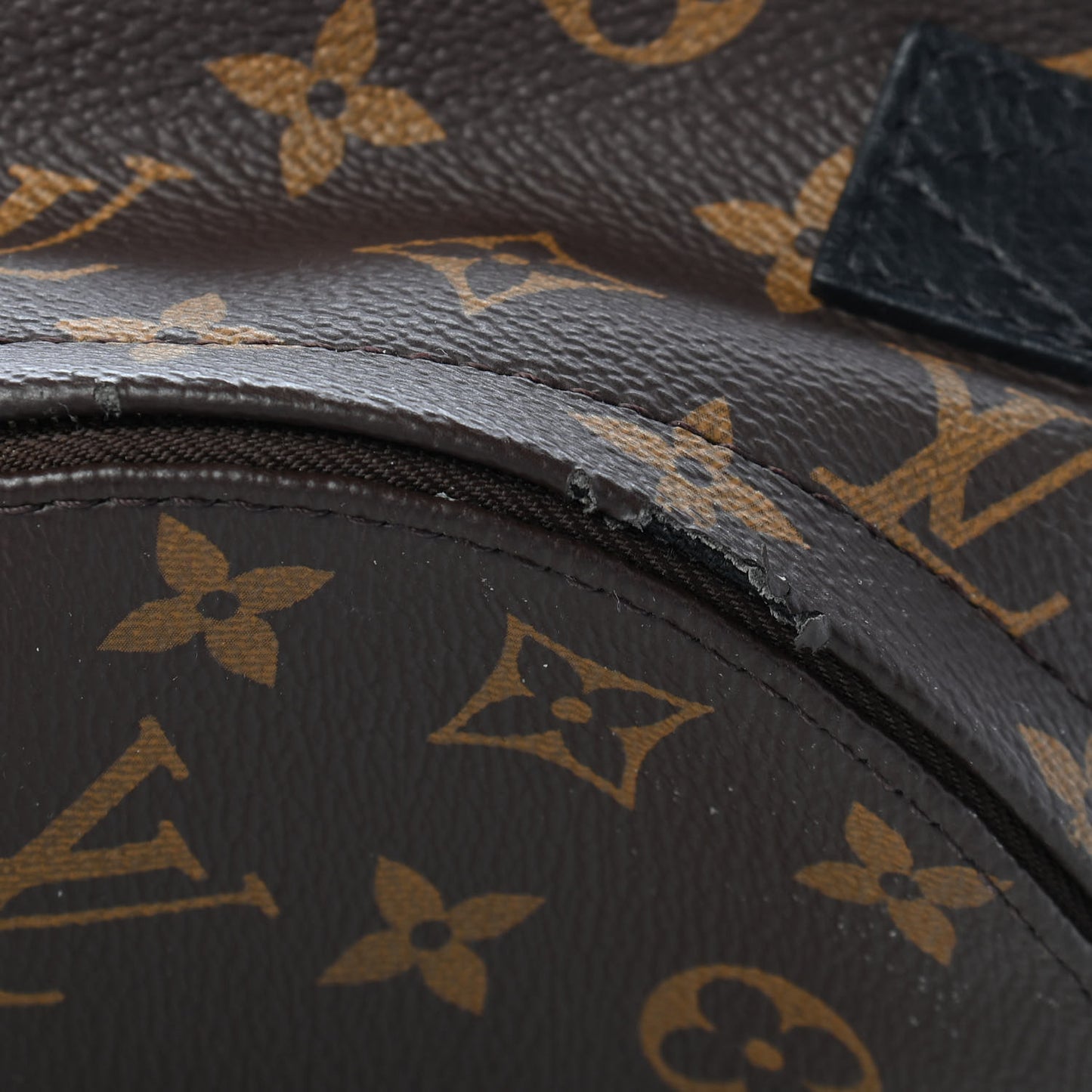 Monogram Palm Springs Backpack Mini