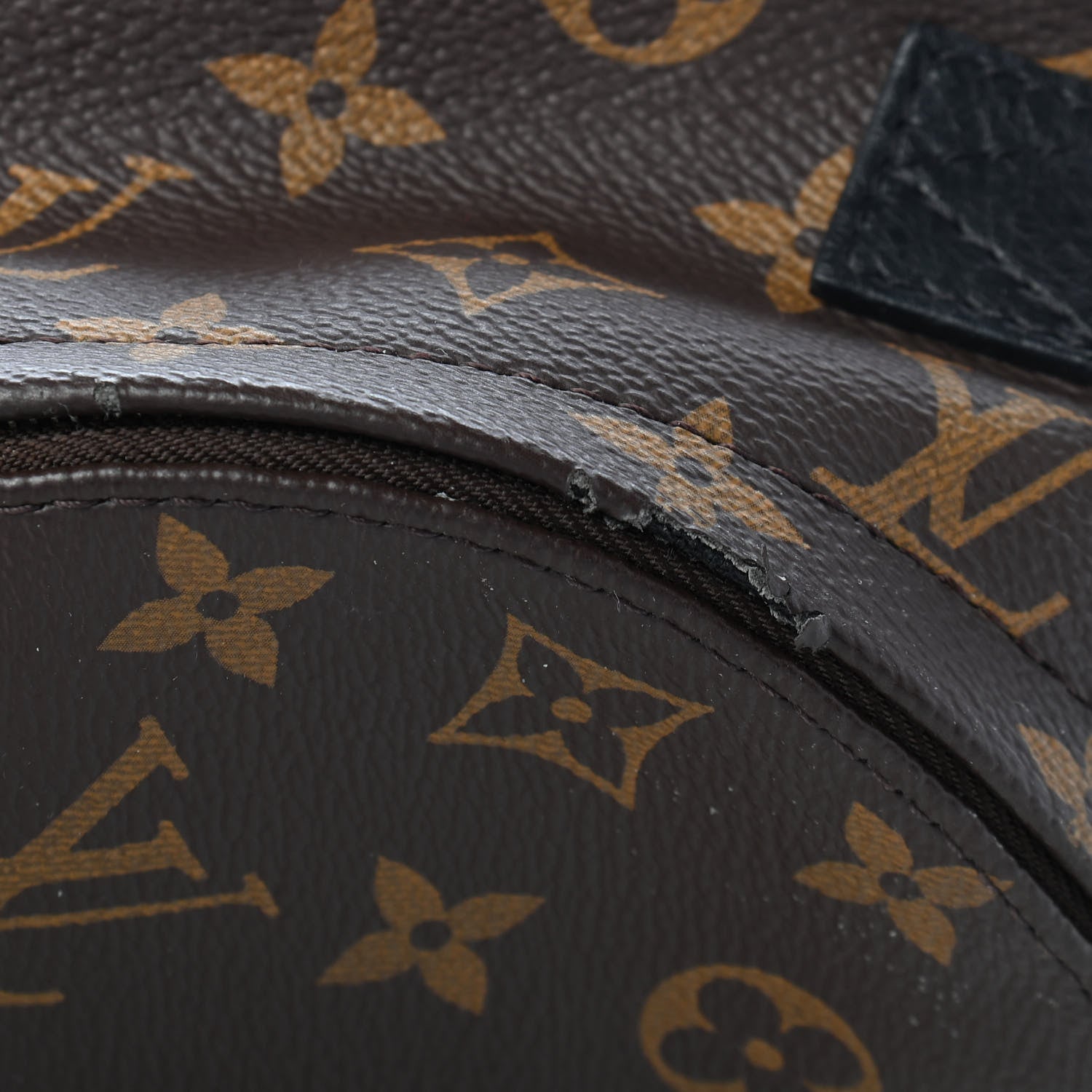 Louis Vuitton Monogram Palm Springs Backpack Mini 7 of 10