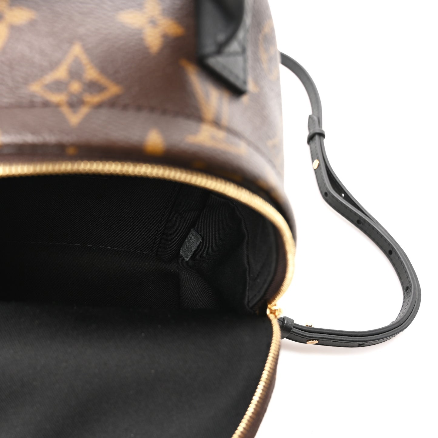 Monogram Palm Springs Backpack Mini