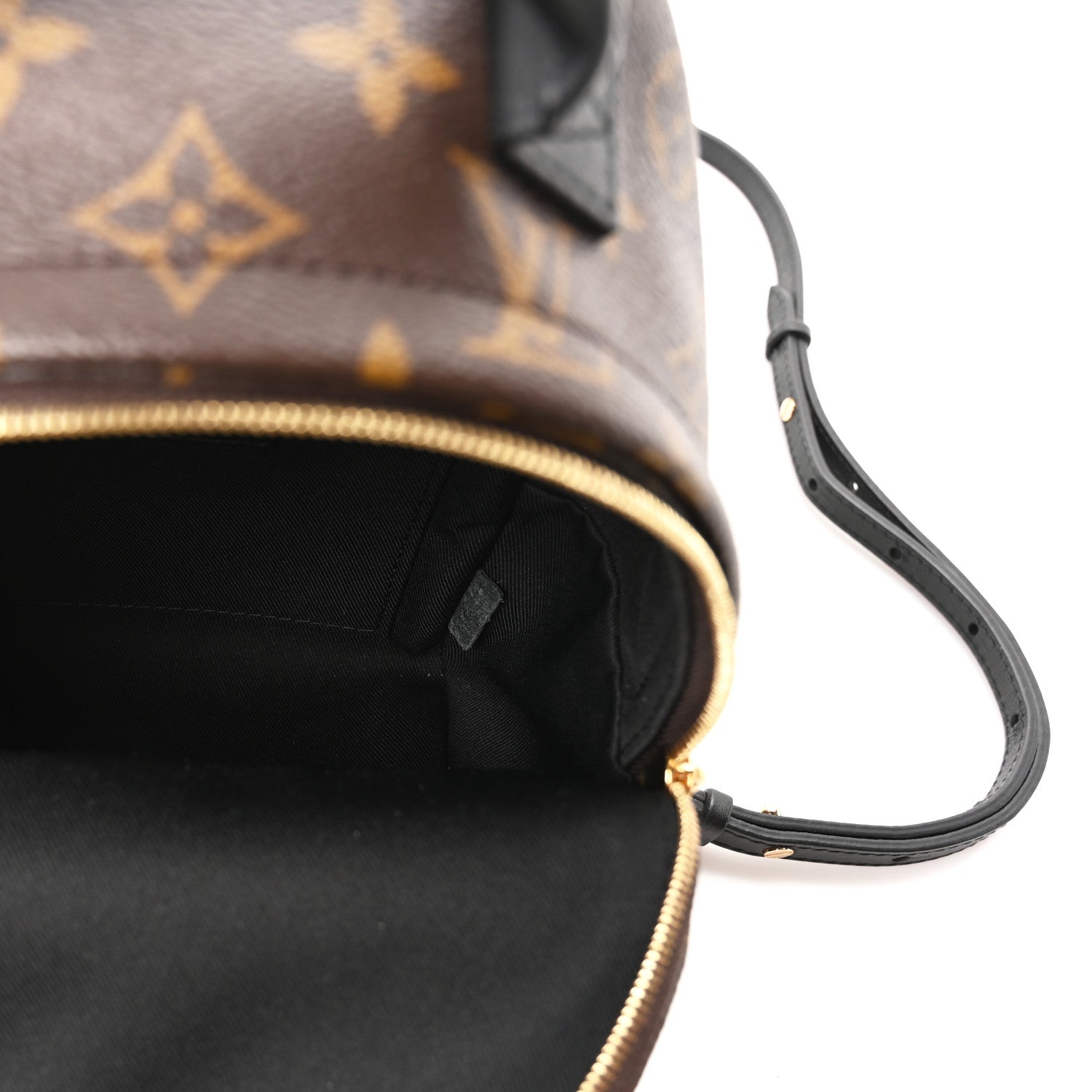 Louis Vuitton Monogram Palm Springs Backpack Mini 5 of 9