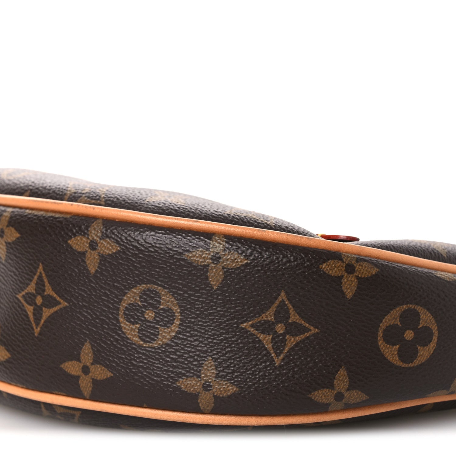 Louis Vuitton Monogram Loop 8 of 10