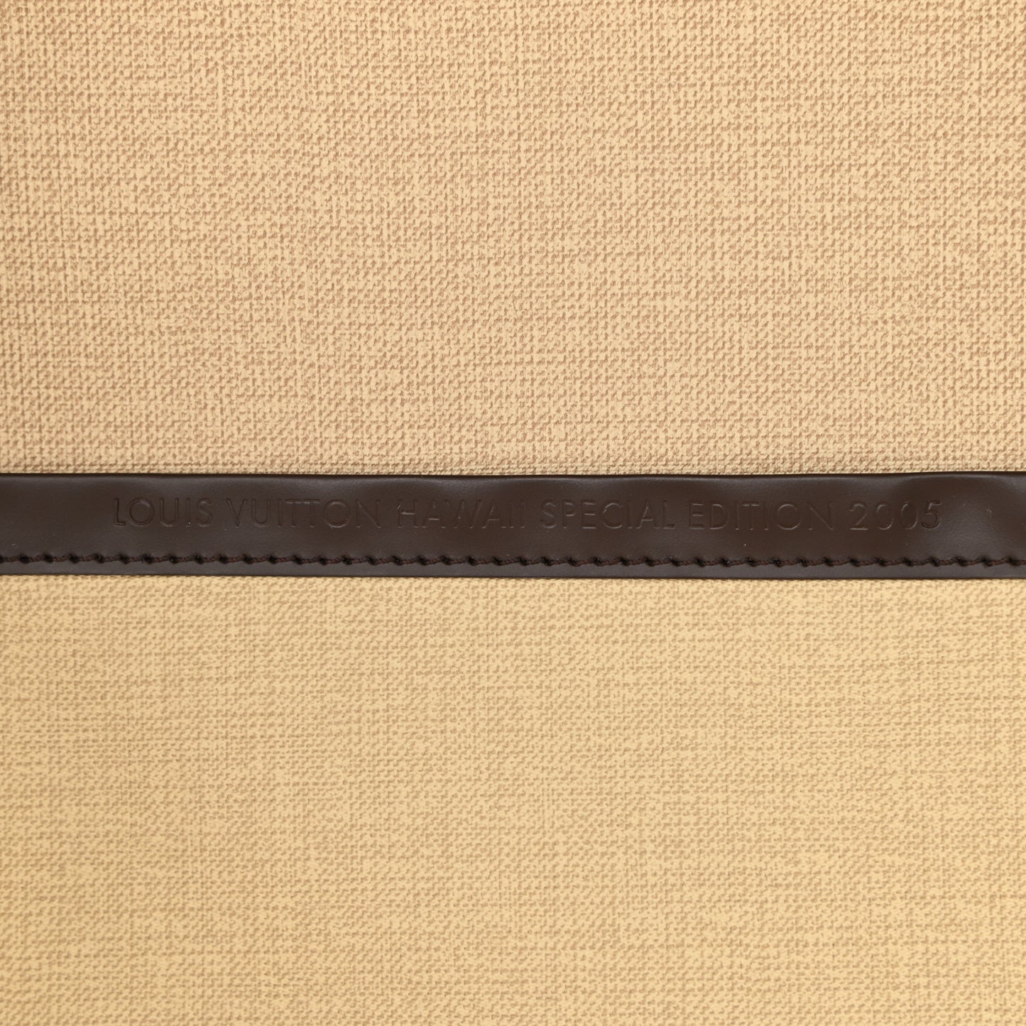 Damier Ebene Excursion Shoe Bag