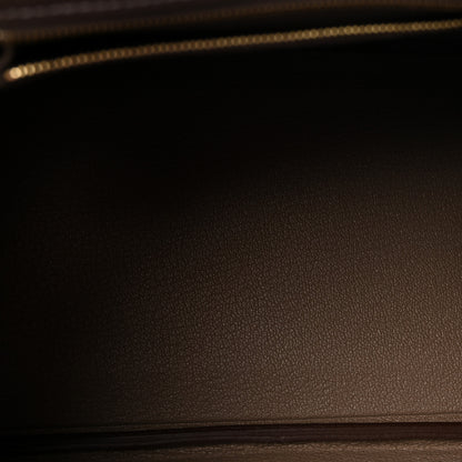 Hermes Togo Birkin 25 Etoupe 5 of 11