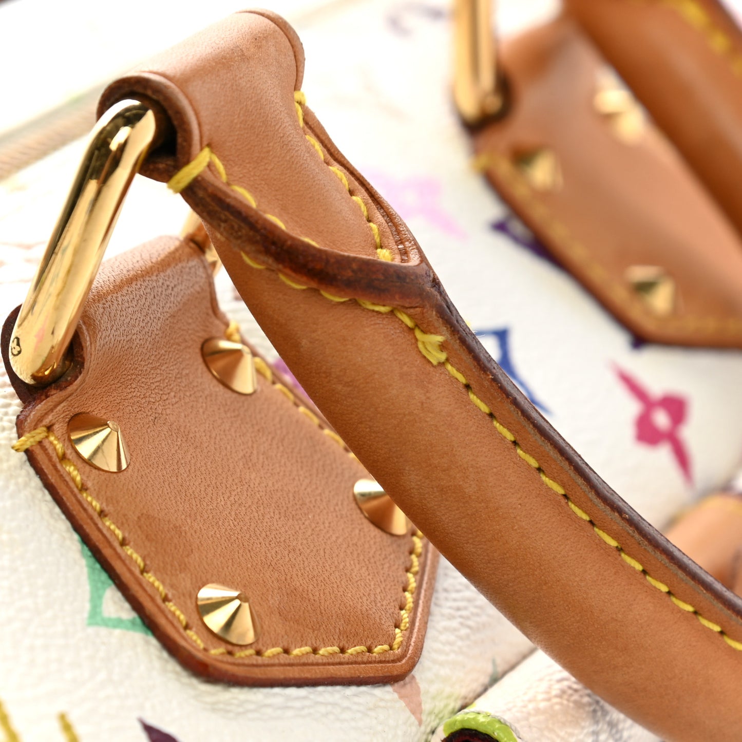 Monogram Multicolor Speedy 30 White