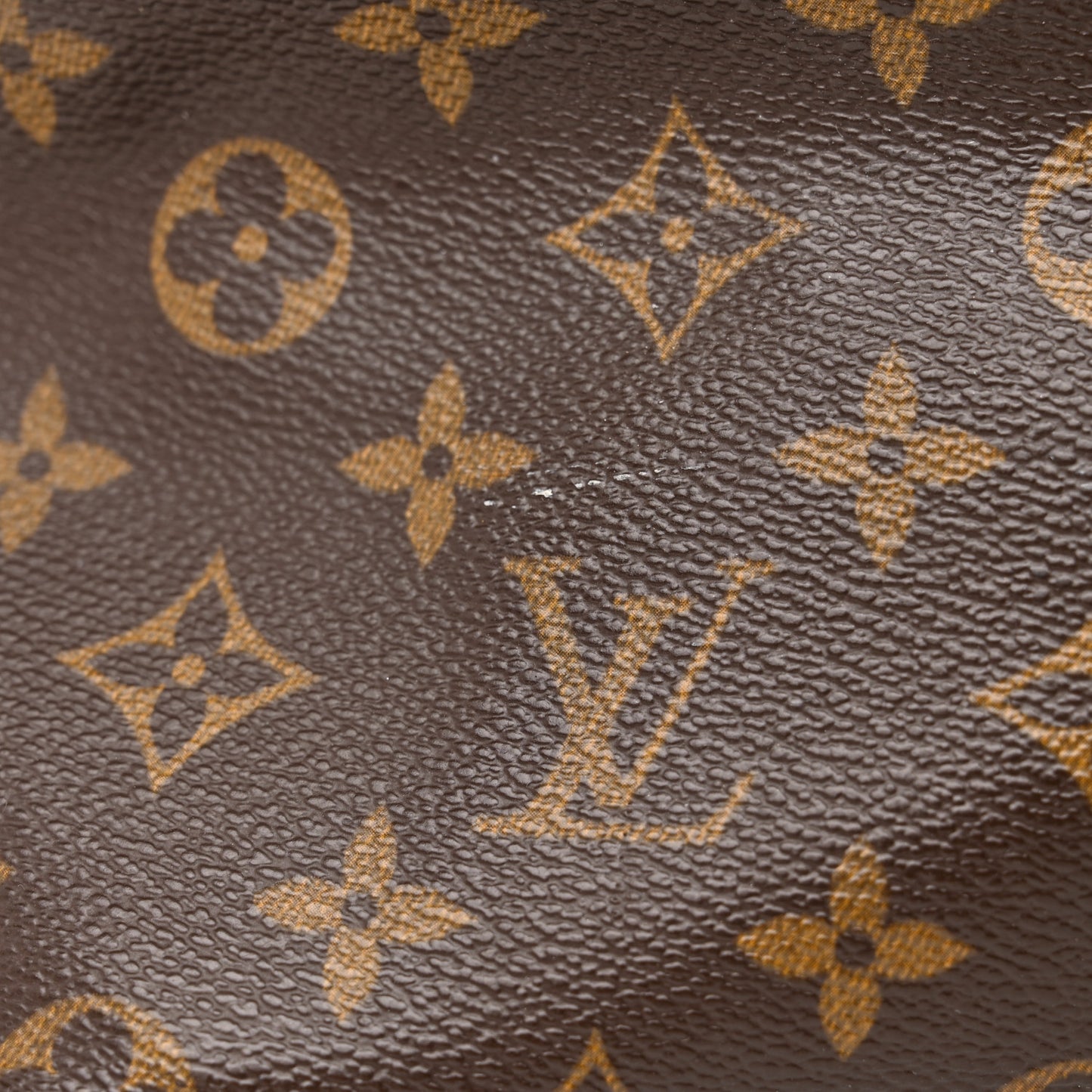 Monogram Cabas Mezzo