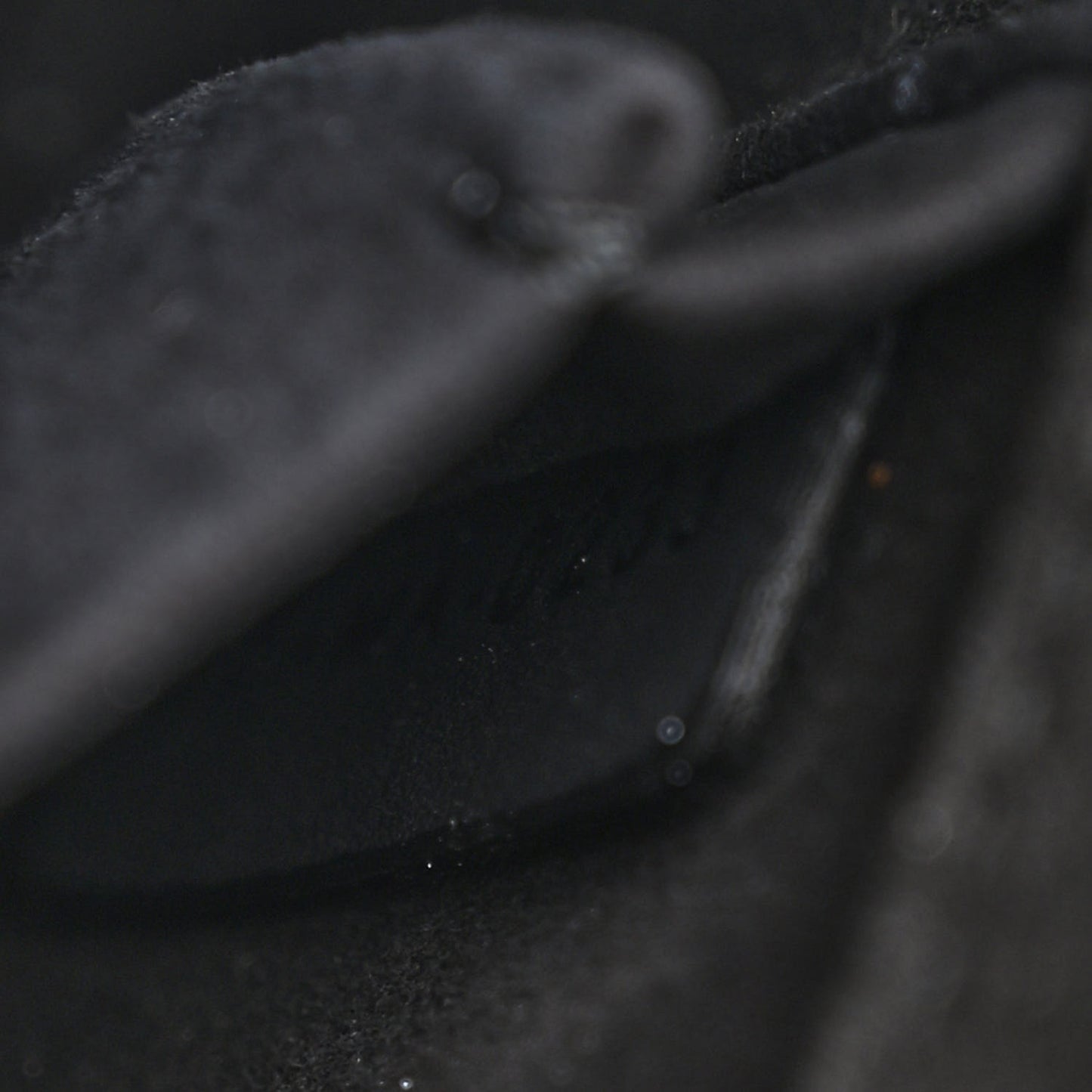 Ultra Matte Calfskin Cannage Medium Lady D-Joy Black