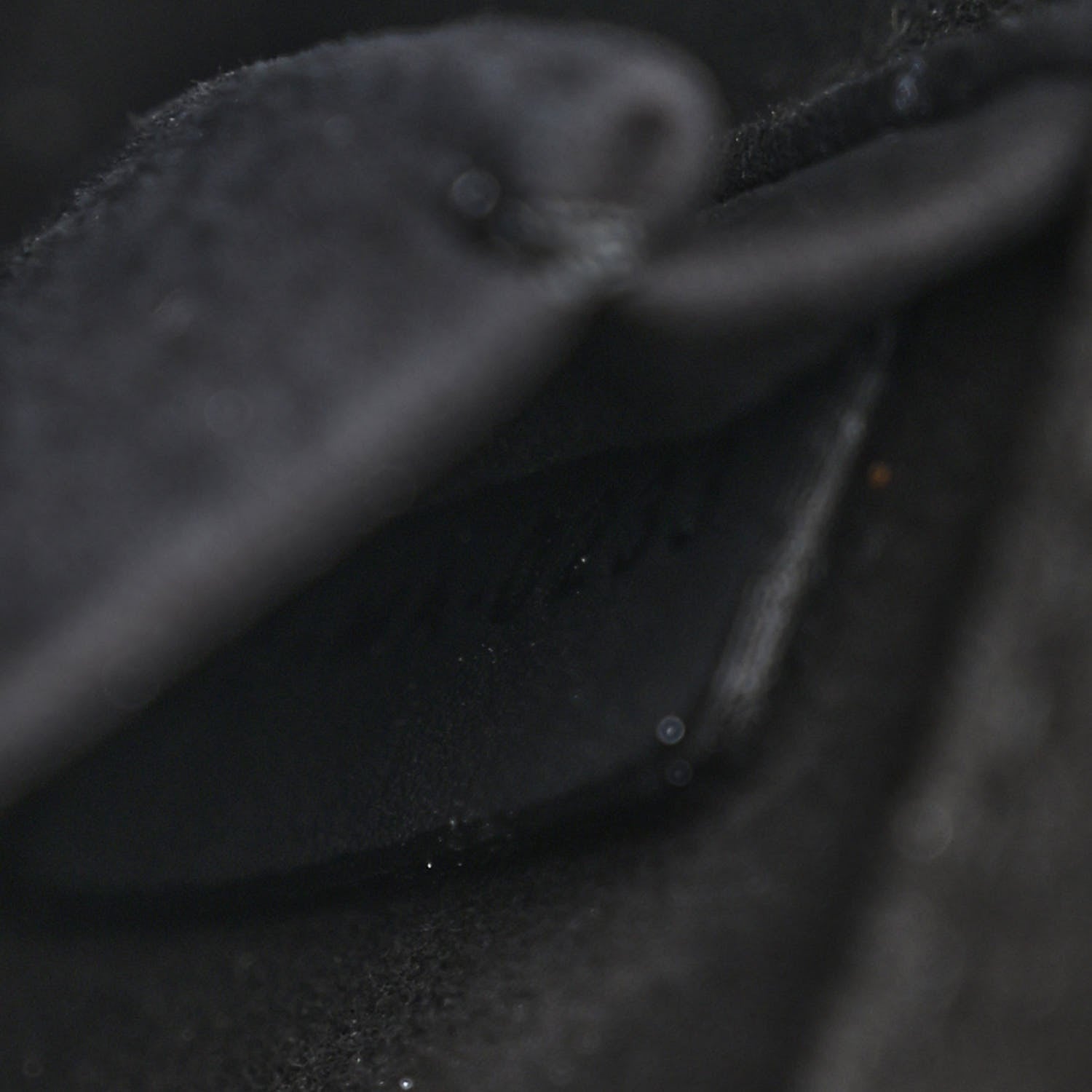 Christian Dior Ultra Matte Calfskin Cannage Medium Lady D-Joy Black 7 of 10