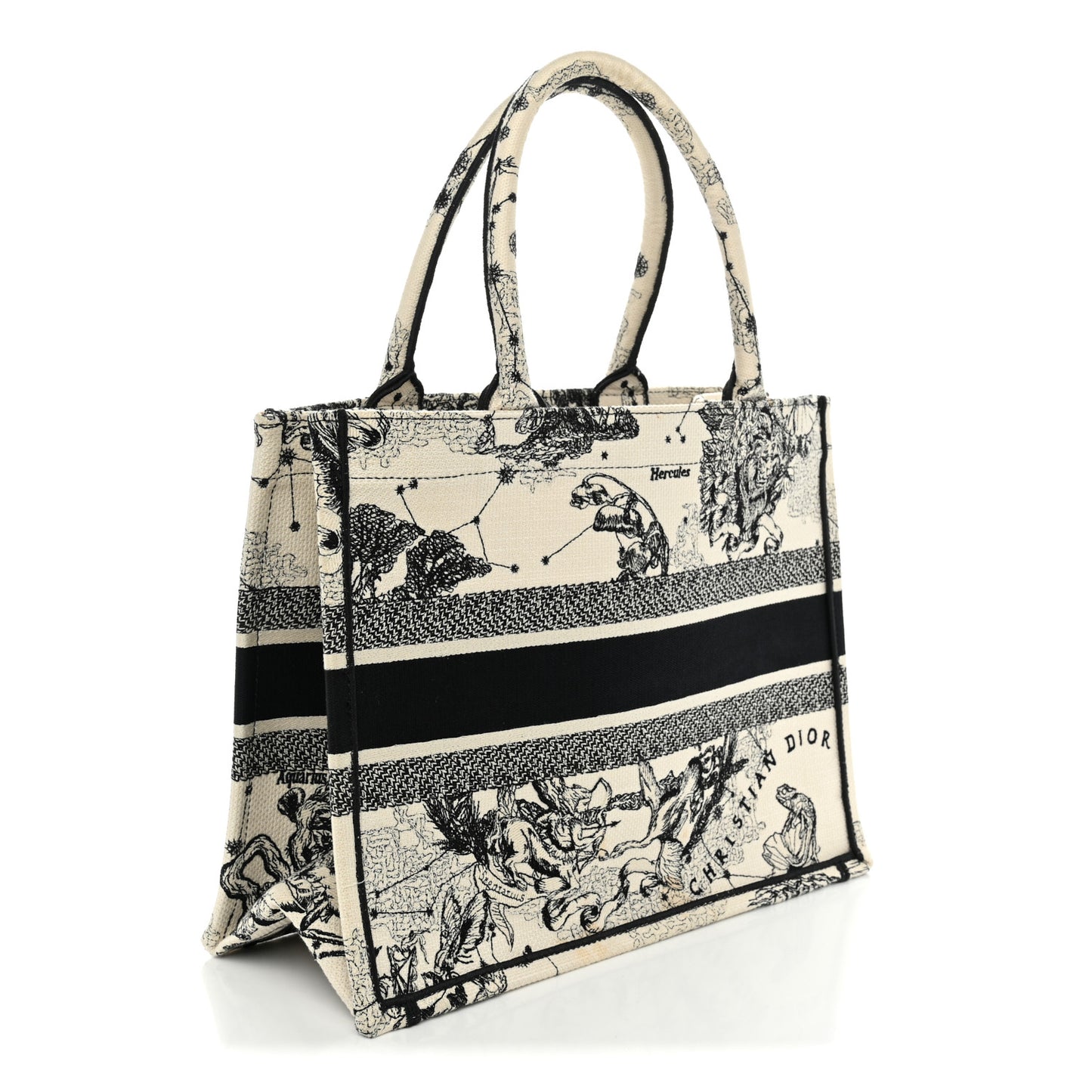 Canvas Zodiac Toile De Jouy Embroidered Medium Book Tote Latte