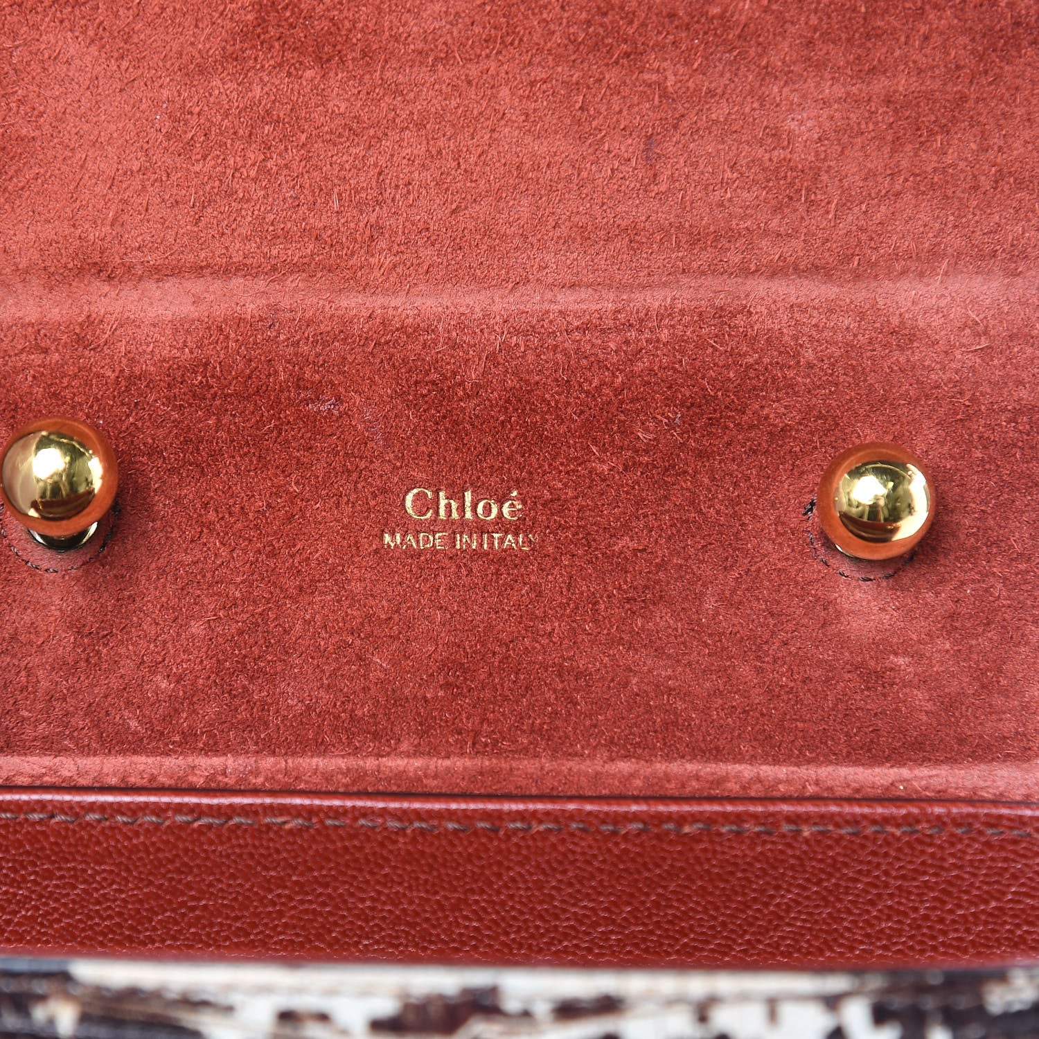 Chloe Calfskin Lizard Embossed Small Aby Lock Sepia Brown 6 of 12