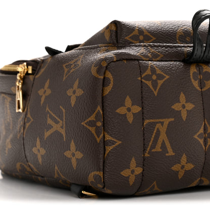 Louis Vuitton Monogram Palm Springs Backpack Mini 15 of 25