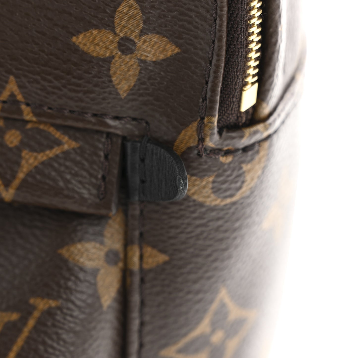 Monogram Palm Springs Backpack Mini